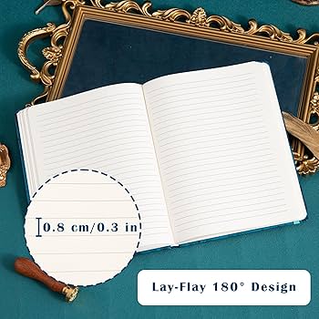 Amazon.com : sexeeg College Ruled Journal for Writing-B5 3D